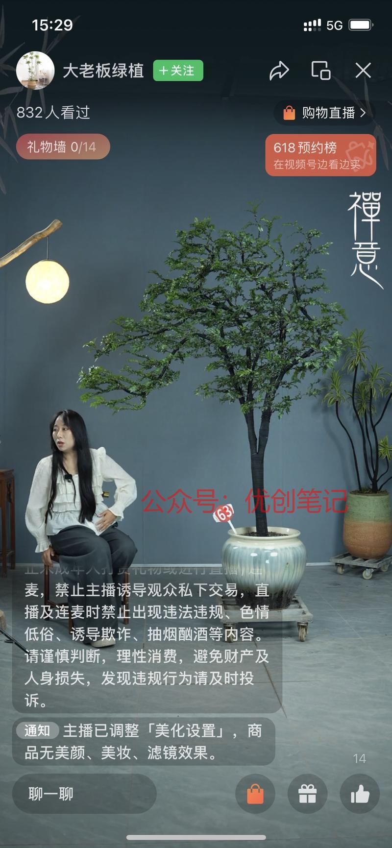 大型盆景，园艺绿植直播。观看..情报-搞钱线报📢论坛-网创交流-优创圈